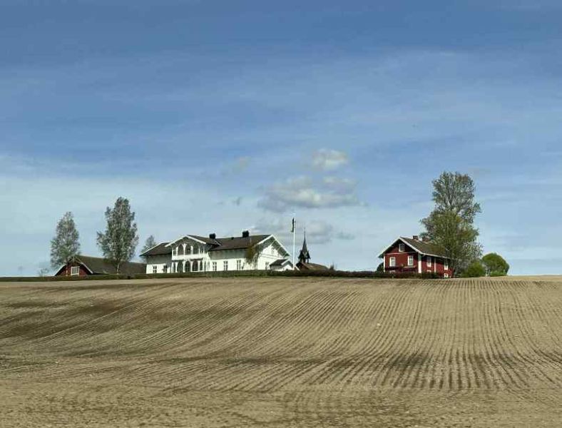 Fil:Nesteby Kongsvinger 2025.jpg